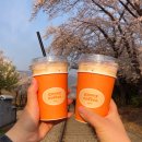 경화벚꽃한의원 | 진해 경화동 카페 구위커피에서 테이크아웃해서 경화역 벚꽃길 산책
