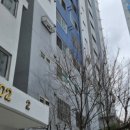 하단동1161 이미지