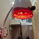 서산시문화회관 소공연장 | 2월 28일 병원 투어+공연<들꽃 찾아>