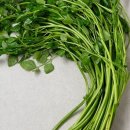 미나리슈퍼 이미지