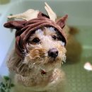 메모리멍 이미지