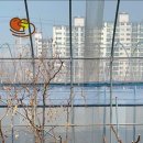 한림농원 이미지