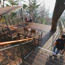 시민의숲산책로1-21 이미지