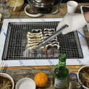선반내천지연무태장어