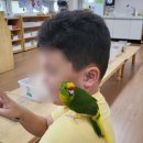 천가초등학교병설유치원 이미지