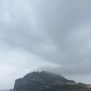 해일리 | [제주카페] 성산일출봉 우도가 동시에 보이는 내돈내산 제주 서귀포 해일리 카페 방문 후기