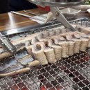 고창집 | 청주장어맛집 복대동 고창풍천장어 내돈내산 후기 재방문은 글쎄