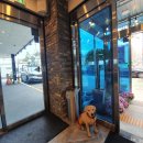 티라임스 이미지