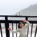 대천나무내음펜션 이미지