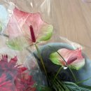 터미널시장 | [W21. 촬영부케] 촬영부케 셀프제작 고속터미널 꽃시장 구매후기(호접란,실바핑크장미,거베라,백합 등)