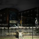 호식이두마리하양점 이미지