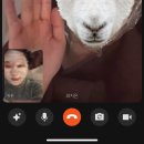 릴리브의원 이미지