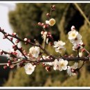 김해세무서 이미지