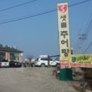 샛뿔 이미지