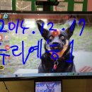 누리예능 어린이집 이미지