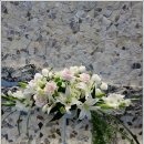 분당요한성당 이미지