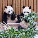 굿모닝랜드 이미지