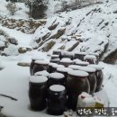 웅이네농장 이미지