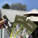 스테이 피크닉 이미지