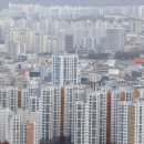 대덕구 4363 대전일보