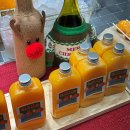 탐라문화광장 | 제주도 겨울여행코스 제주동문시장 야시장 운영시간 먹거리 후기(+탐라문화광장 트리, 야경구경)