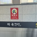 트루나루 | [마곡/마곡나루] 인생이 피곤할때는 윤곽마사지를 받자..! 마곡고수 찐후기.. 내돈내산