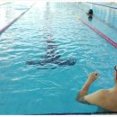 에코스포츠센터 이미지