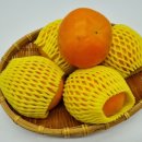 부유마트 이미지