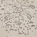 1285 | 고흥을 배우다 – ① 숲을 보고, 나무를 본다