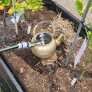 돈대기리 이미지