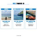 성산구 ⓒ-12 | 제주도에서 우도가는법 성산 천진항 배편 예약 시간표 요금 렌트카