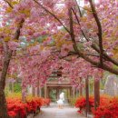 척산온천휴양촌 이미지