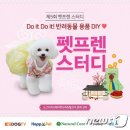 해피펫애견 이미지