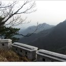 대동사 이미지