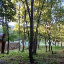 하점면사무소 이미지