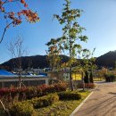 에이스5차점 | 야구★ 플레이오프(PO) 5차전 한화VS 삼성, 한화생명볼파크 1루 내야지정석A 111블럭 직관후기 _ 251024