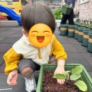 아이림 유치원 이미지