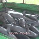 【감상】 '당진 토박이말'이 돋보이는 이득주 수필가의 시 한 편 이미지