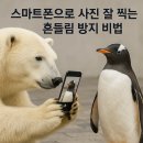 스마트폰으로 찍는 상황별 사진촬영(야간) | 스마트폰으로 사진 잘 찍는 흔들림 방지 비법