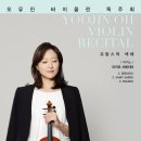 바이올린 이미지