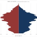 대륜동-2 | 제주도 인구피라미드와 성별, 연령별 인구수 보고서