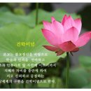 동국대학교사범대학부속금산고등학교 이미지