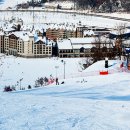 알펜시아리조트 이미지