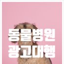 위너동물병원 이미지