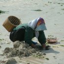 이어도로 이미지