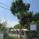 하조대2길 | 강원도 양양 하조대 커피 여행 코스 내돈내산 후기