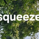 For delay dementia 1,339 Easy english 이미지