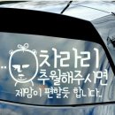 쉼터댄스카페 이미지