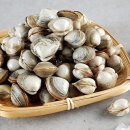 대풍수산 이미지