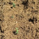 나오리농장 이미지